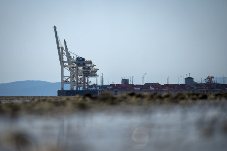 Towering white gantry cranes against a backdrop of low mountains and blue sky.