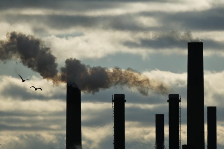 Industrial smokestacks emitting pollution against a cloudy sky, with birds flying by.