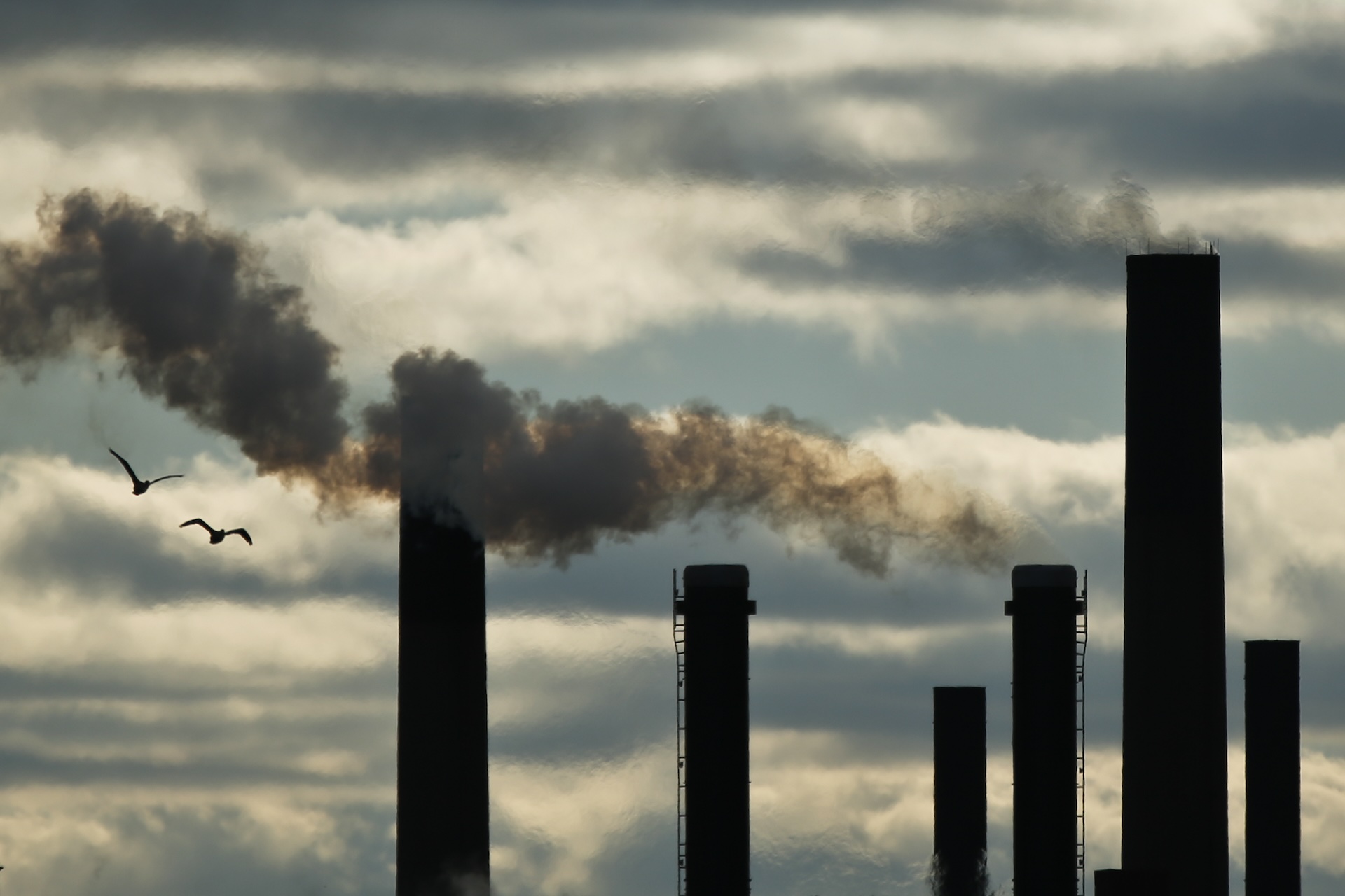 Industrial smokestacks emitting pollution against a cloudy sky, with birds flying by.
