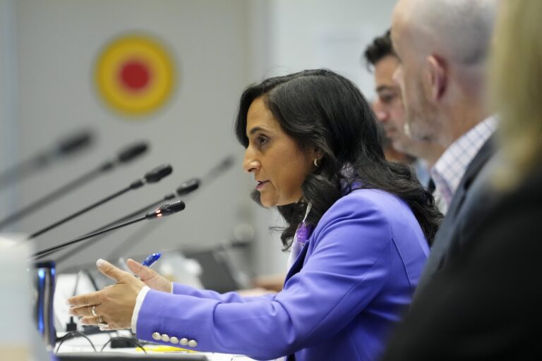Treasury Board President Anita Anand sitting among other panelists and speaking into a microphone. She is wearing a lavender-coloured suit and gesturing with both hands.