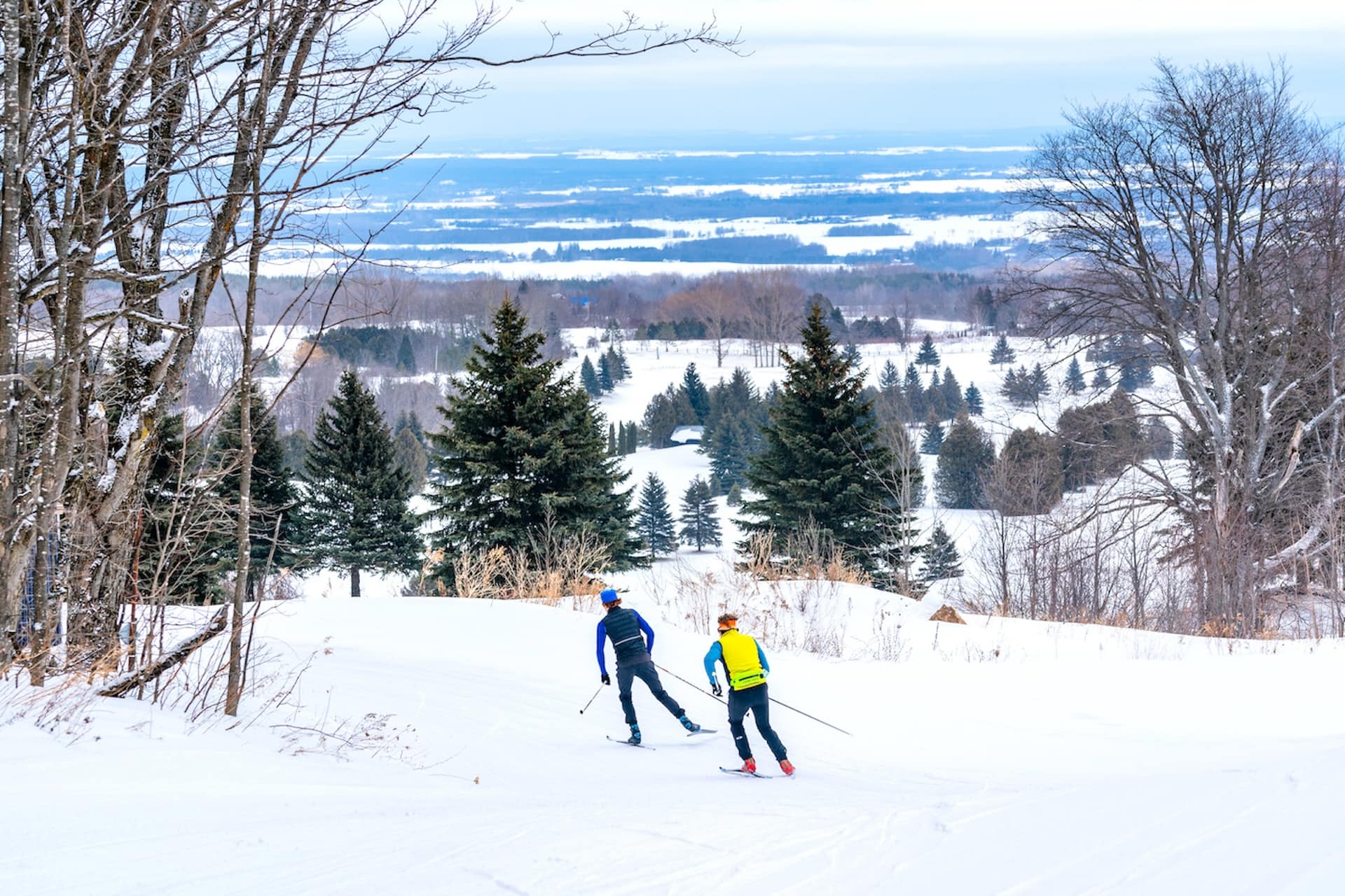 Two cross-country skiers wearing dark blue and yellow move through white snow. Trees and a blue sky can be seen in the background.