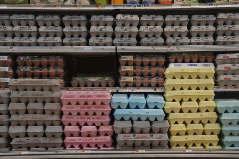 Eggs cartons on a shelf in a grocery store in New York.