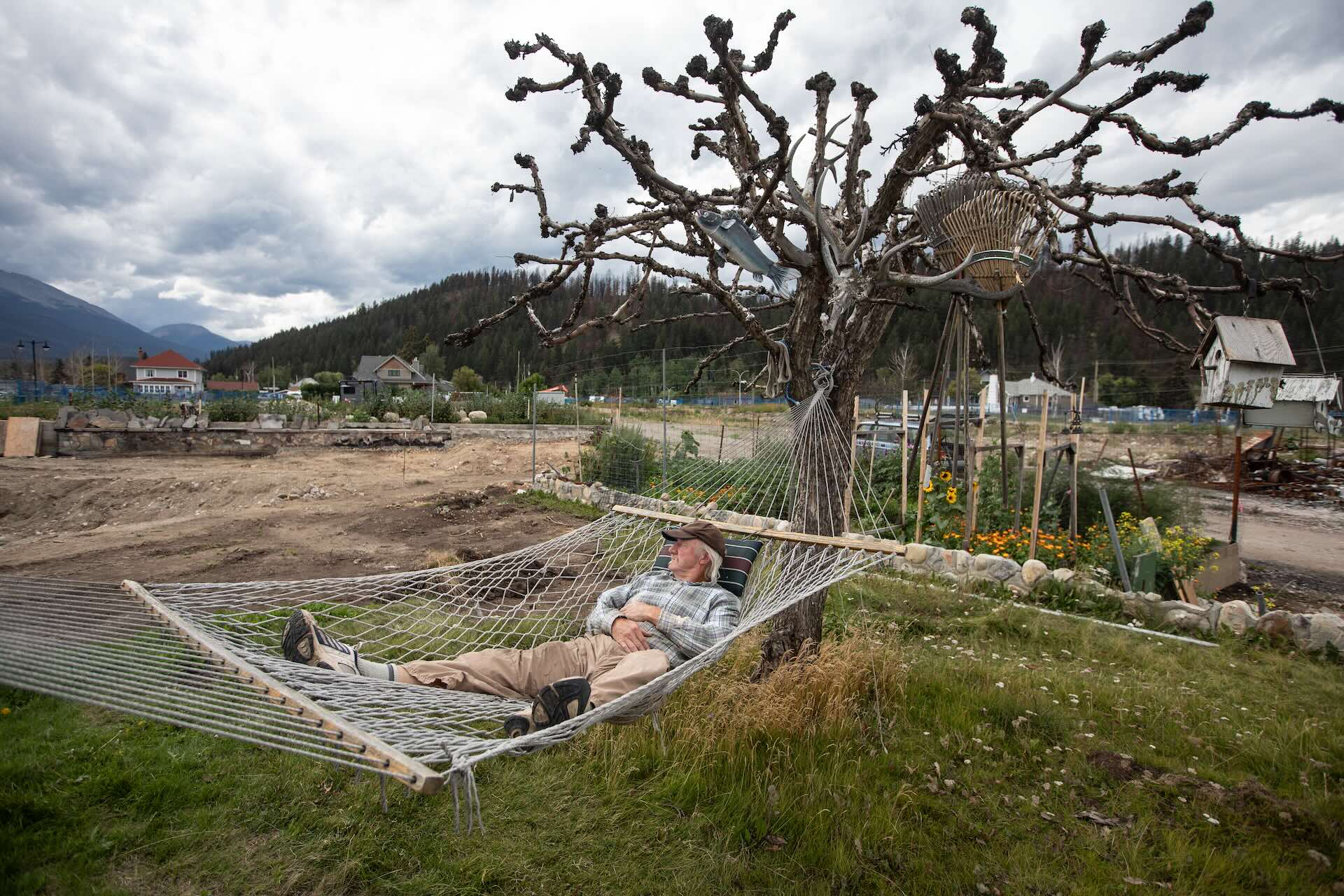 A man in a brown ball cap, checkered shirt, beige pants and sneakers lies in a hammock tied to a barren tree with rakes, a decorative fish, and antlers hanging from its branches.