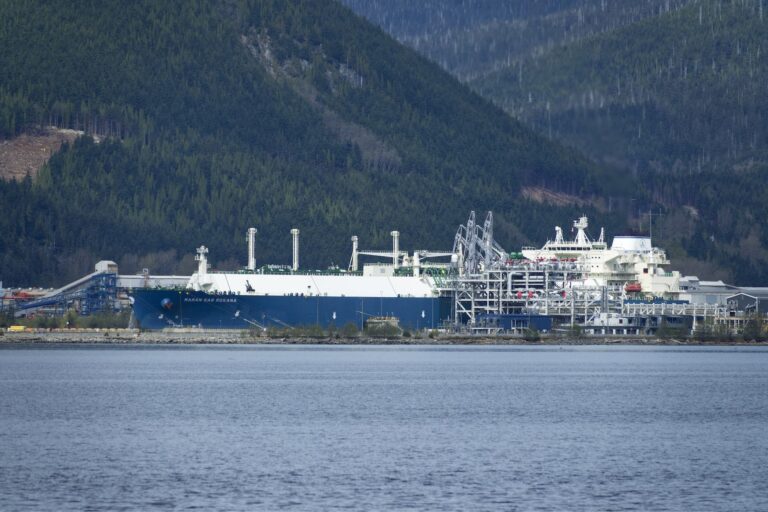 A wide shot across water of a large, blue ship moored at a liquified natural gas terminal, with forested mountains in the background.