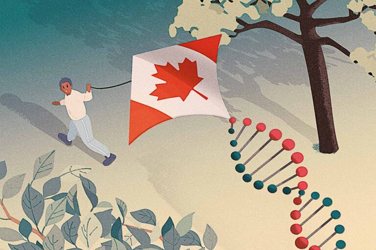 Illustration of someone flying a kite that looks like the Canadian flag.