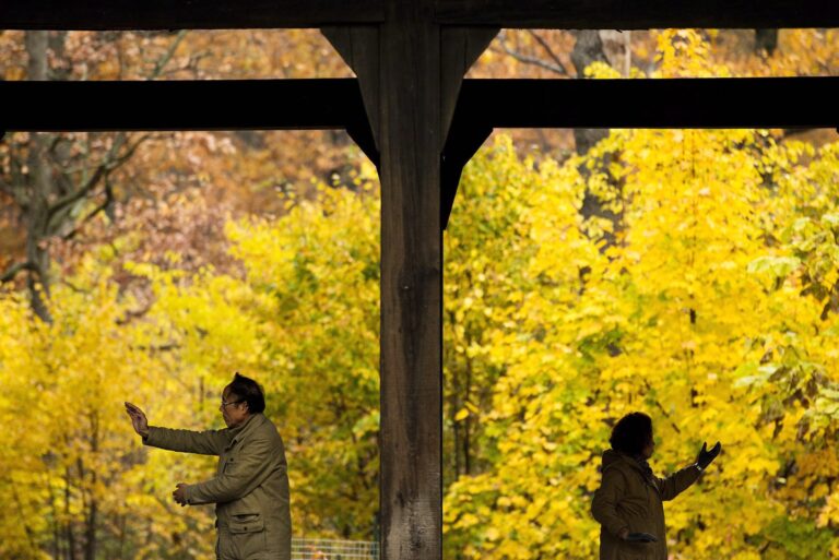 A man and woman, both apparently seniors, doing tai chi under the beams of a shelter, against a backdrop of autumnal leaves.