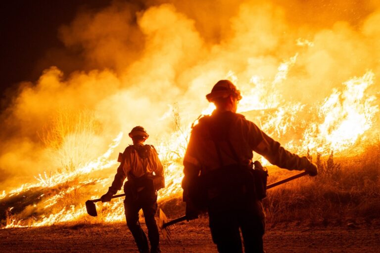 Two firefighters with gear face a massive wildfire at night, with flames and smoke engulfing dry vegetation. The scene conveys urgency and danger.