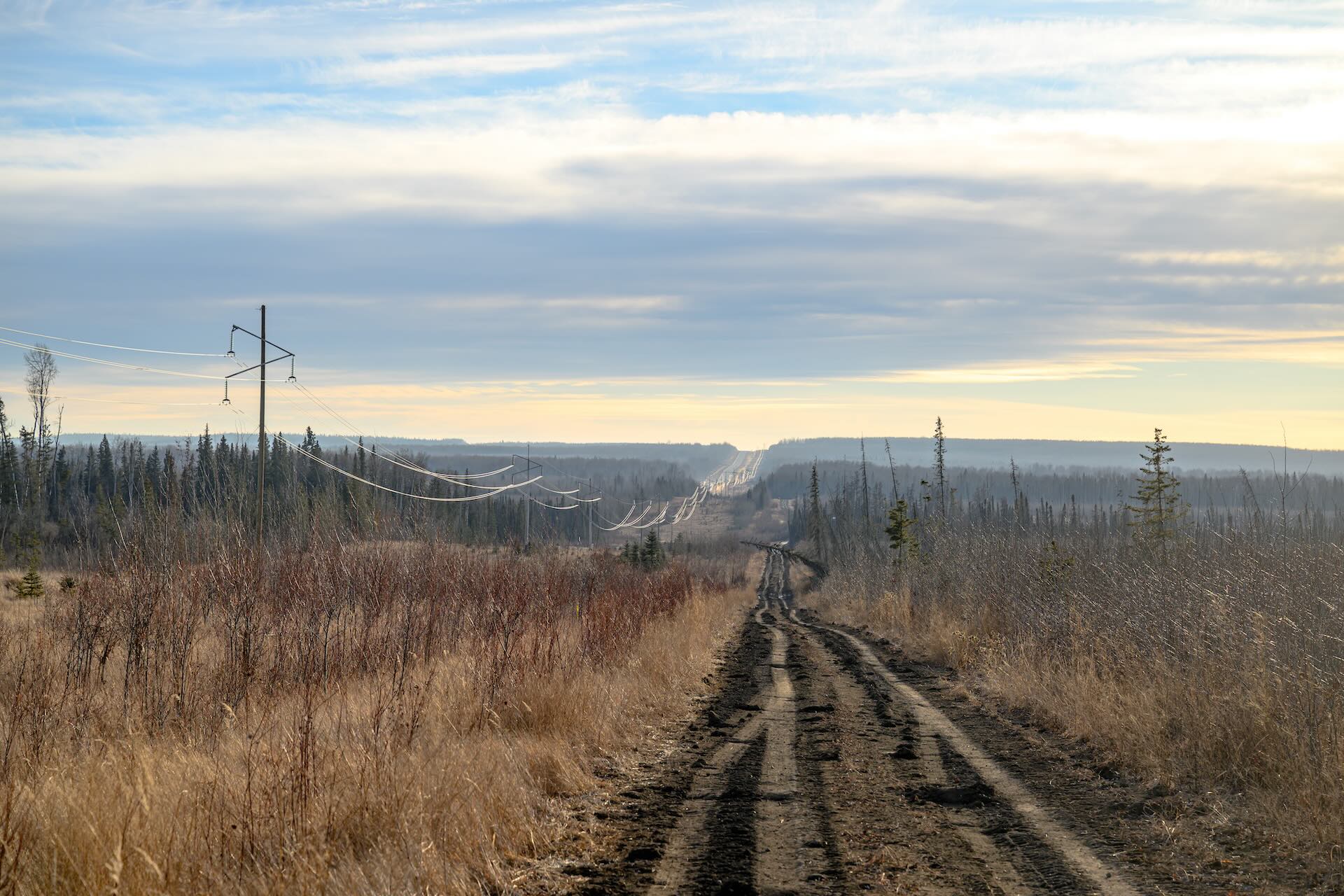 An empty dirt road with tire tracks stretches into the distance with power lines along one side.