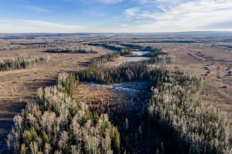 Aerial view of a rural portion of northwest Alberta, an expanse of fields criss-crossed with trees and some small patches of snow