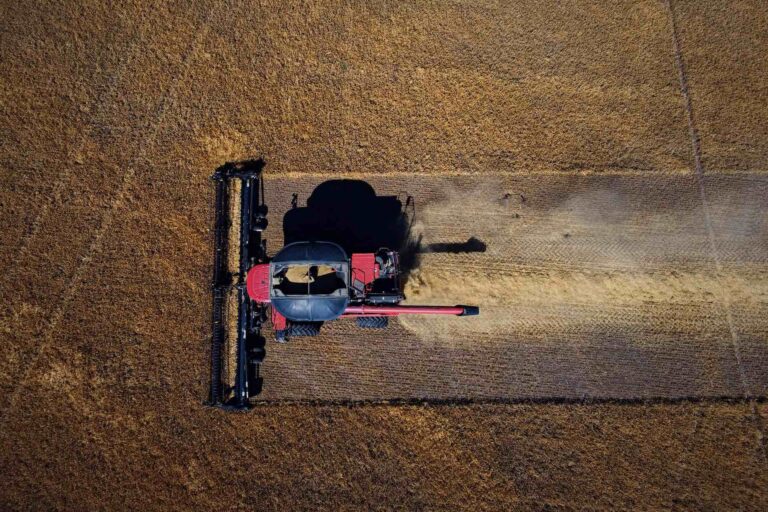 An aerial photo of a combine harvester swathing its way through a field of barley.