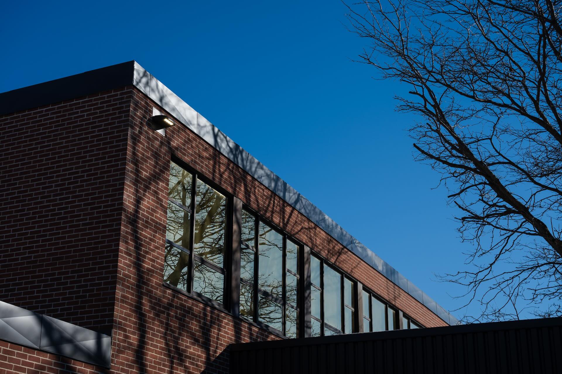 Brick building corner with large windows reflecting tree branches under a clear blue sky. Shadows stretch across the wall, suggesting calm and stillness.