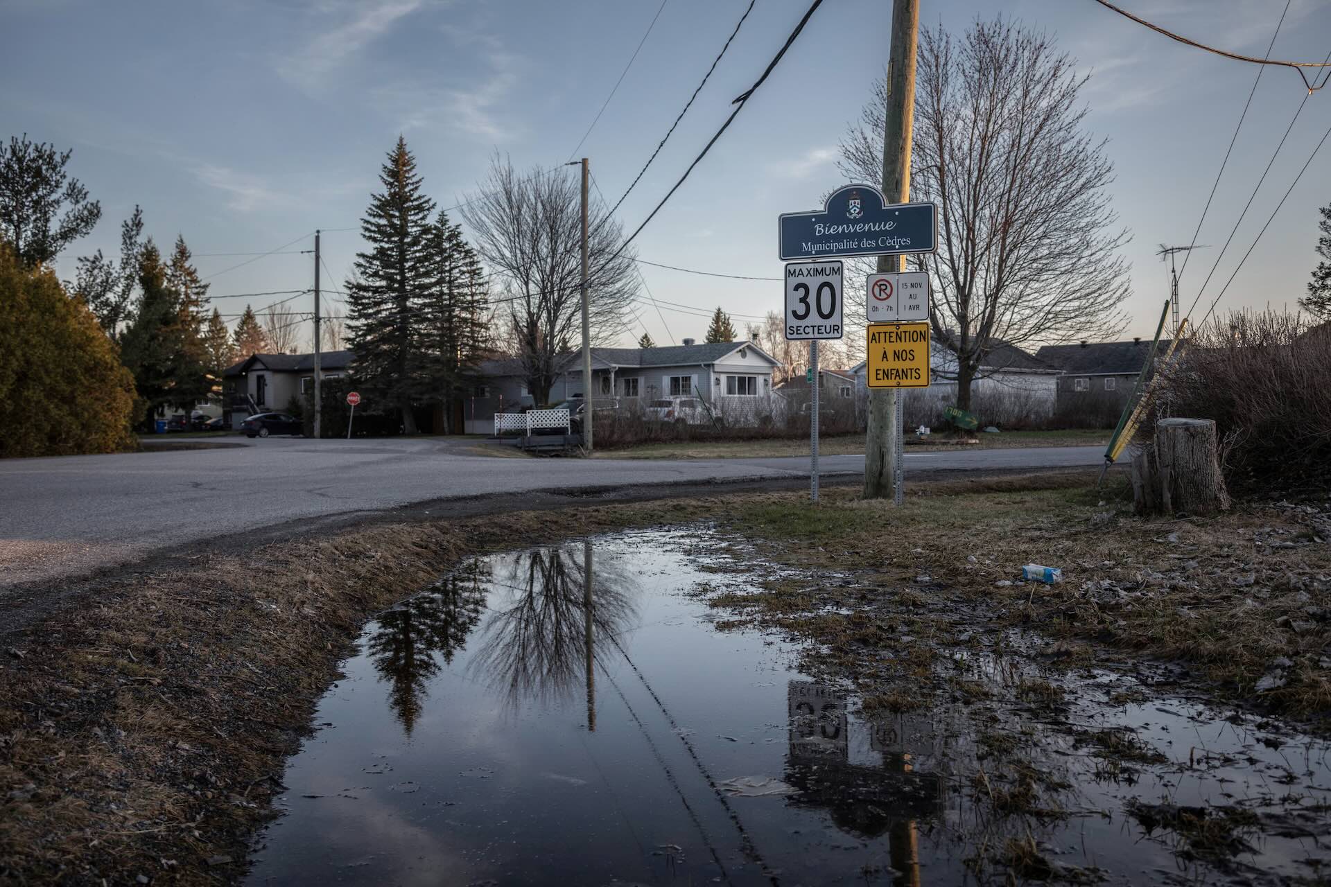 A reflective puddle on a roadside mirrors trees and a sign in a quiet neighbourhood. Signs display speed limit and caution for children. Calm evening light.