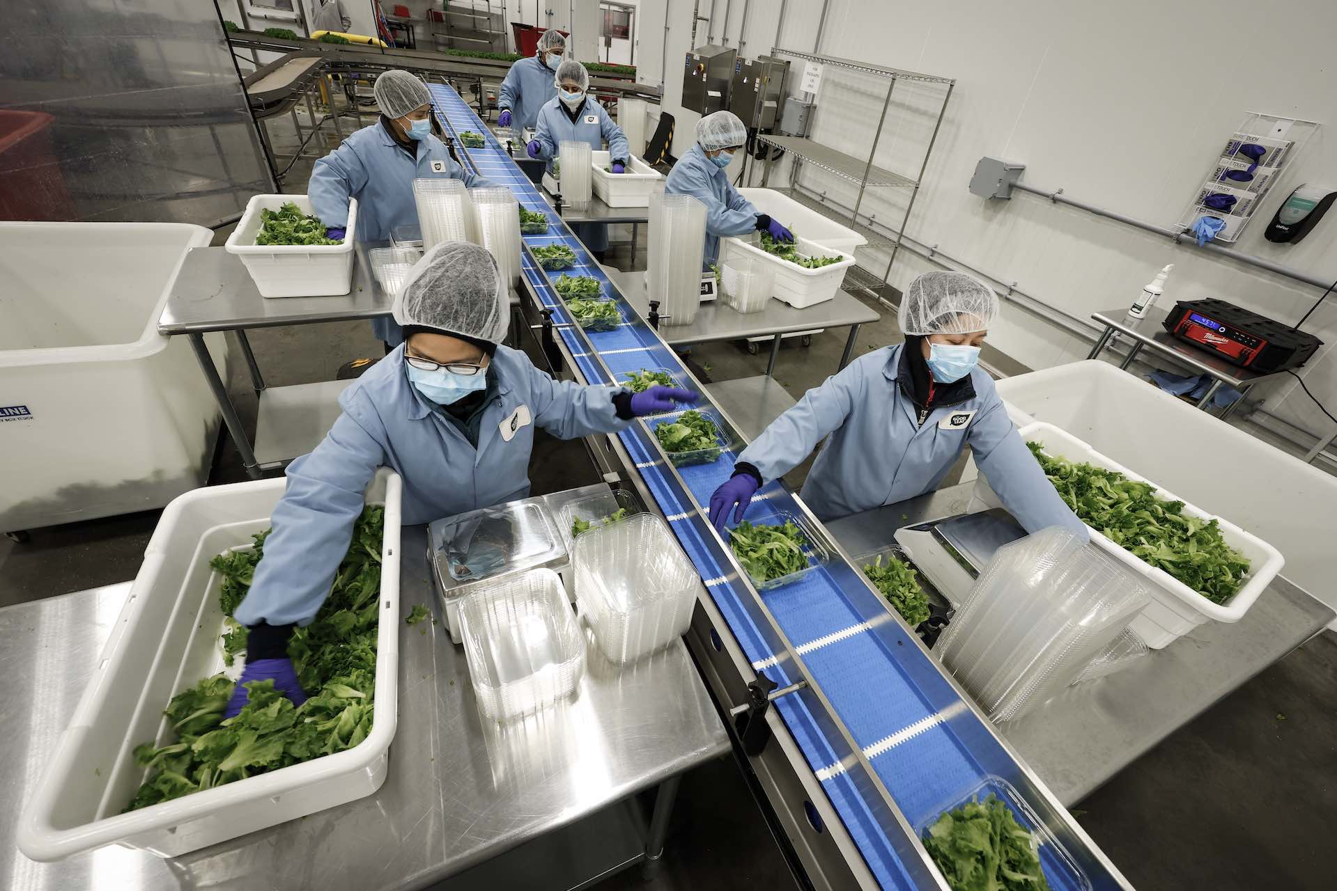 If it works, the prime minister’s food security strategy would break a pattern that dates back centuries