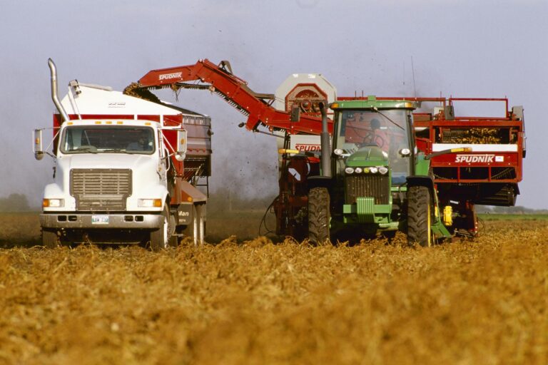 A ground-level shot of a tractor pulling a potato harvester that drops the potatoes into a truck driving alongside it.