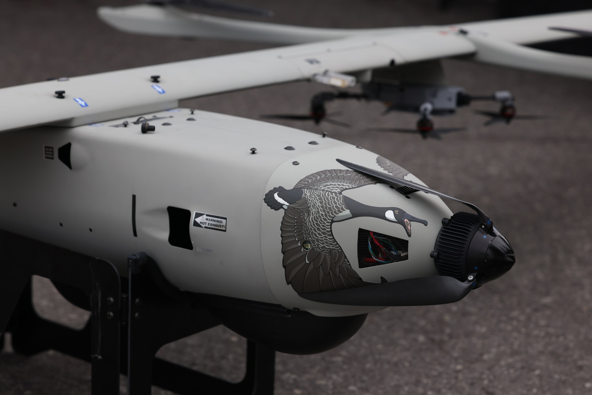 A close up of a grey drone with a Canada goose decal on its nose.
