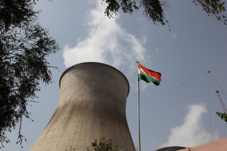 A low-angle photo of the cooling tower of a nuclear power station. There are tree fronds and an Indian flag in the foreground.